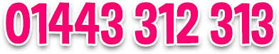 01443 312 313